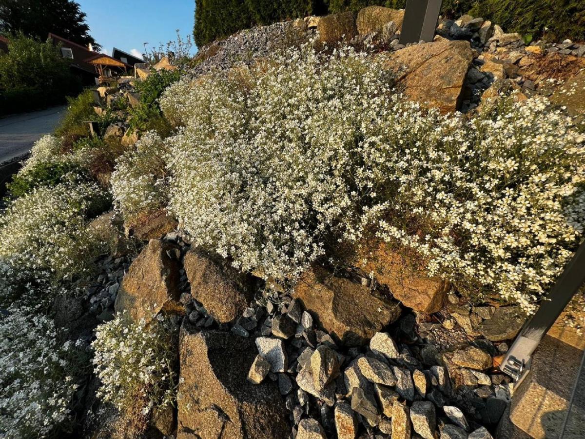Chalet Deluxe Freyung Εξωτερικό φωτογραφία